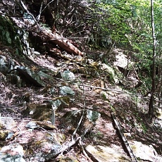 220528_p19.jpg
