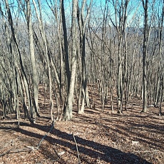 230304_p12.JPG