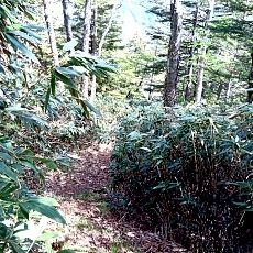 240612_p46.jpg