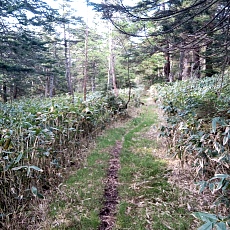 240612_p60.jpg