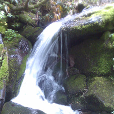 110715_p06.jpg