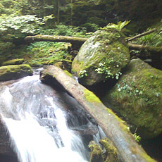120909_p01.jpg