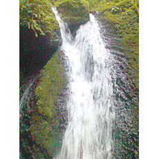 120909_p03.jpg