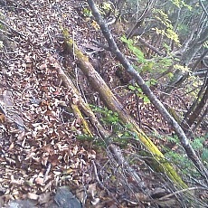 141020_p12.jpg