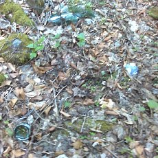 150523_n01.jpg