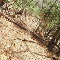 180329_p23.jpg