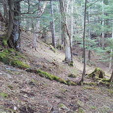 200024_p21.jpg