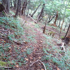 201004_p29.jpg