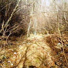 201206_p53.jpg