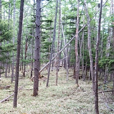 220618_p39.jpg