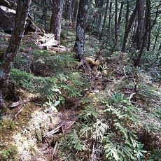 220528_p45.jpg