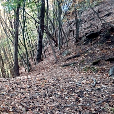 231030_p11.jpg