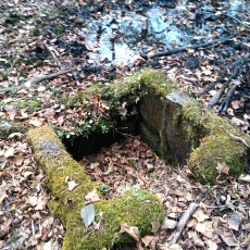231030_p25.jpg
