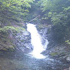110615_p04.jpg