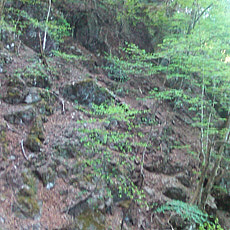 130517_p08.jpg