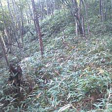 130914_p21.jpg