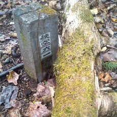 141020_p29.jpg