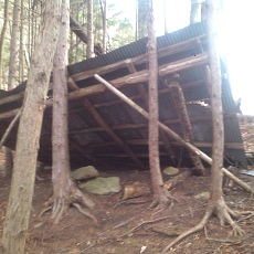 150430_p01.jpg