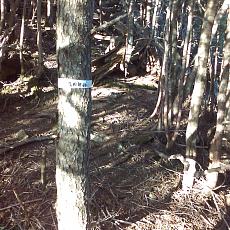 150522_p30.jpg