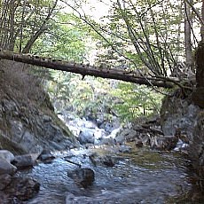 151010_p11.jpg