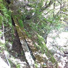 160603_p17.jpg