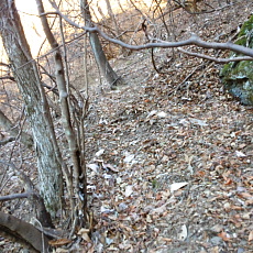 170203_p09.jpg