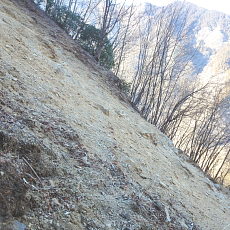 170203_p10.jpg