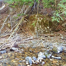 170617_p07.jpg