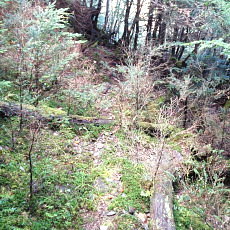 171008_p04.jpg