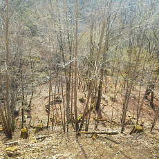 180412_p20.jpg
