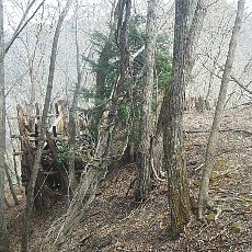 190323_p06.jpg