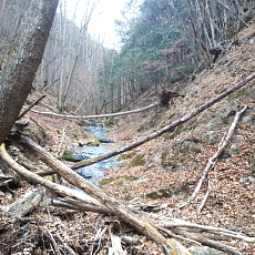 190323_p31.jpg