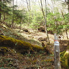 200024_p13.jpg