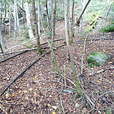 210916_p28.jpg
