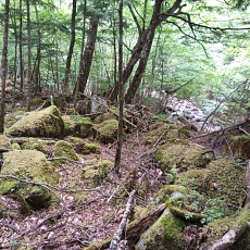 220618_p57.jpg