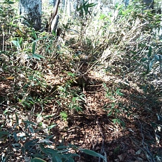 221028_p01.jpg