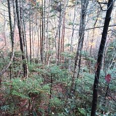 221014_p13.jpg