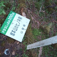 220528_p65.jpg
