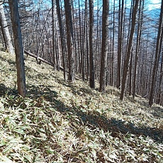 221127_p04.jpg