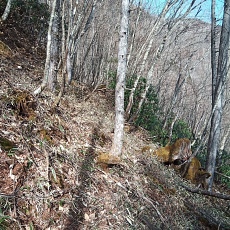 230414_p20.jpg