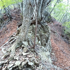 230502_p11.jpg