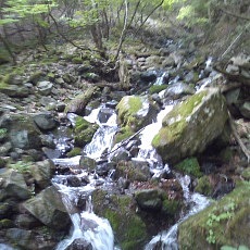 110605_n01.jpg