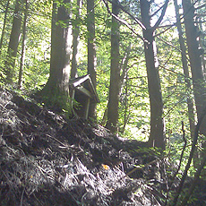 120930_p04.jpg