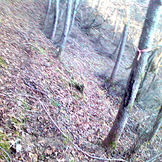 121110_p08.jpg