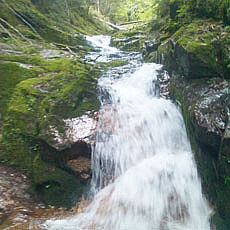 130706_p11.jpg