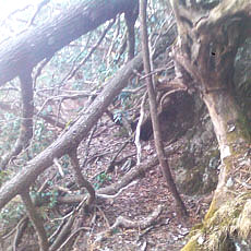 140427_p04.jpg