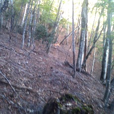 141011_p39.jpg