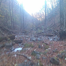 141103_p19.jpg