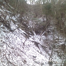 141210_p08.jpg