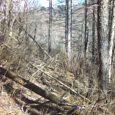 160419-02_p15.jpg